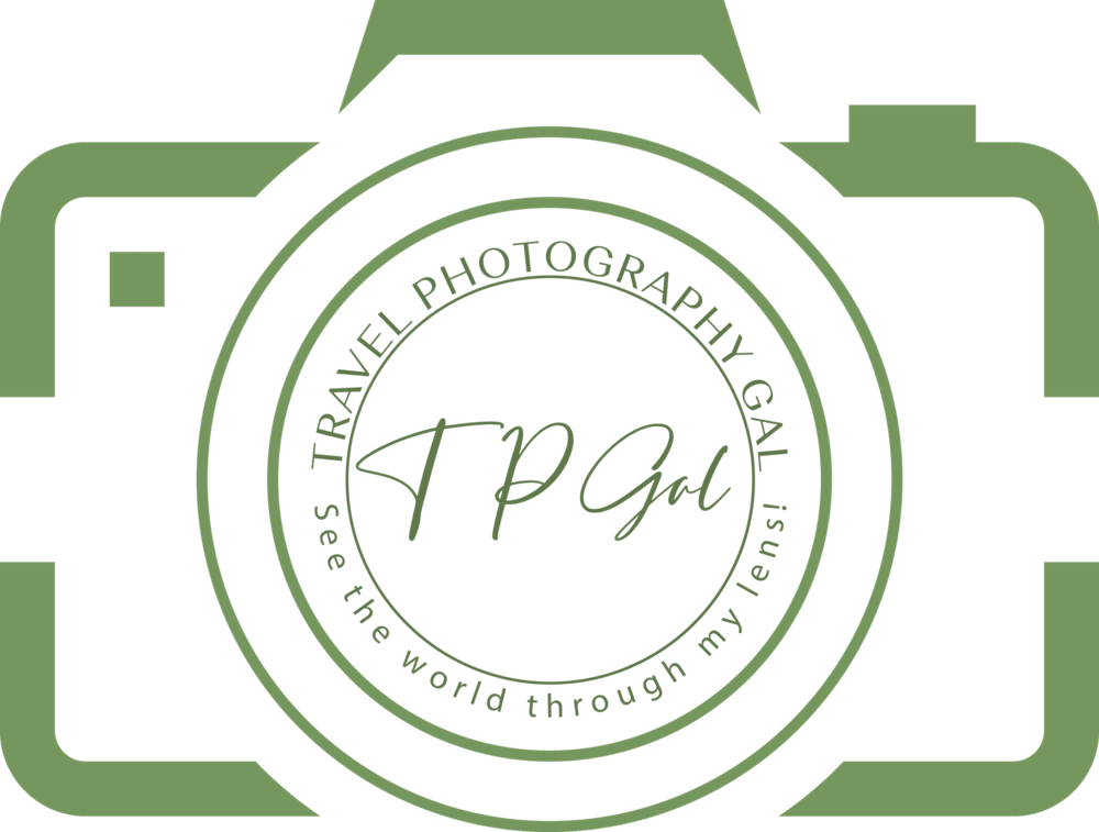 Hyenas Photography Art | Travel Photography Gal