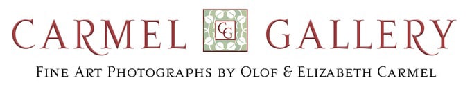 Carmel Gallery