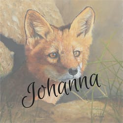 Johanna Lerwick Wildlife Artist