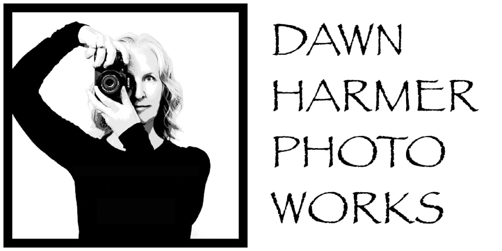 Dawn Harmer Photo Works