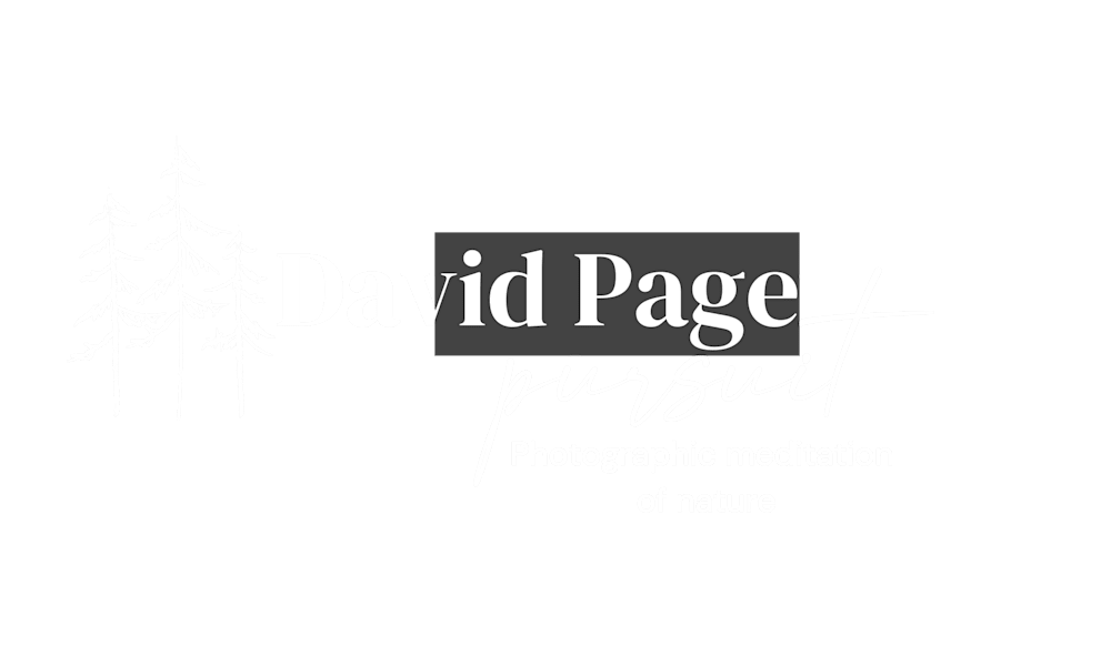 davidmpagephotography