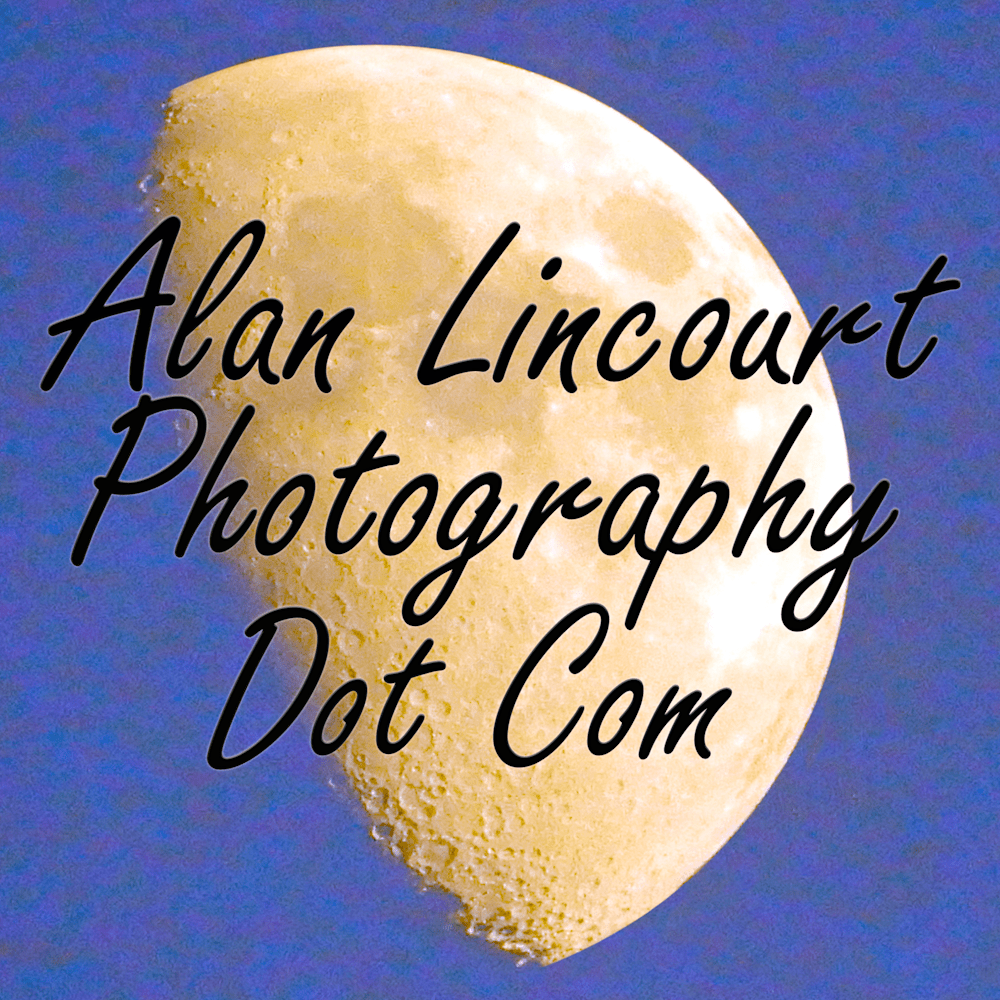 alanlincourt
