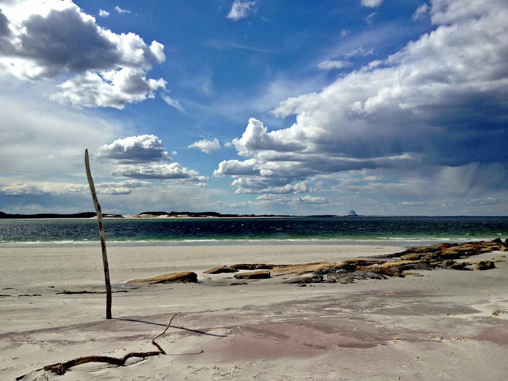 coffin's wingaersheek beach seascape gloucester driftwood