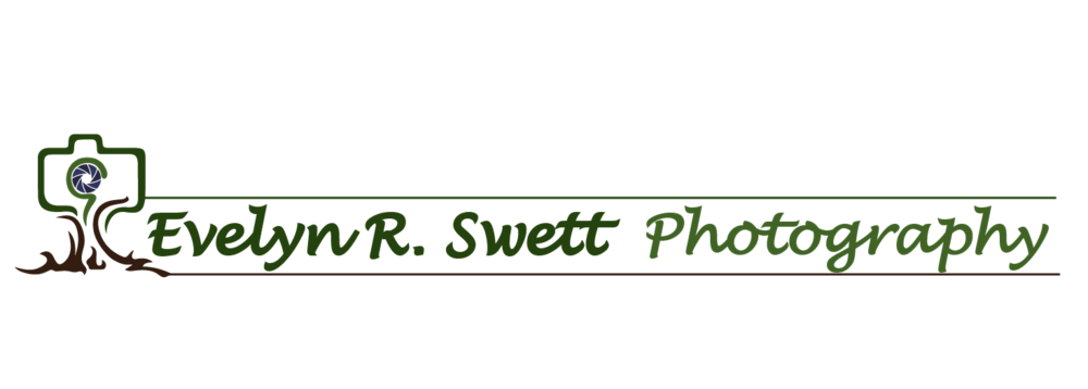 evelynrswett