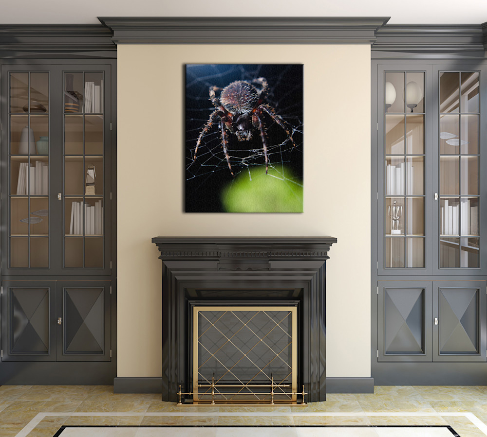 Backyard Buddy Limited Edition Signed Insect Photograph By Melissa