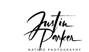 JP Nature Photography