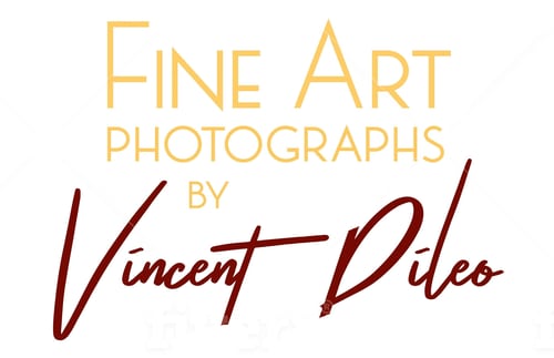 Vincent DiLeo Fine Art Photography