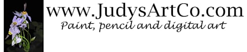 Judy's Art Co