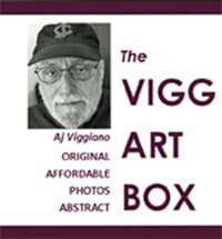 Thank You From All Of Us At The Vigg Art On Line Gallery