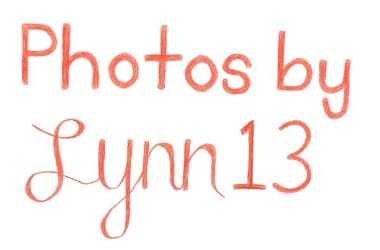 Photos by Lynn13
