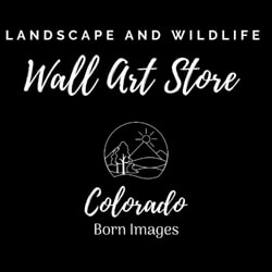 Colorado Born Images 
