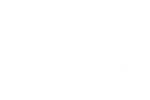 David Dalrymple Photography