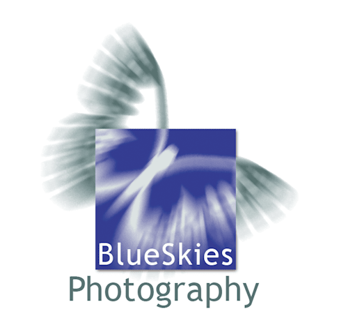 Blue Skies Photography