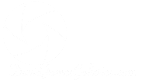 davidjamesgalleries