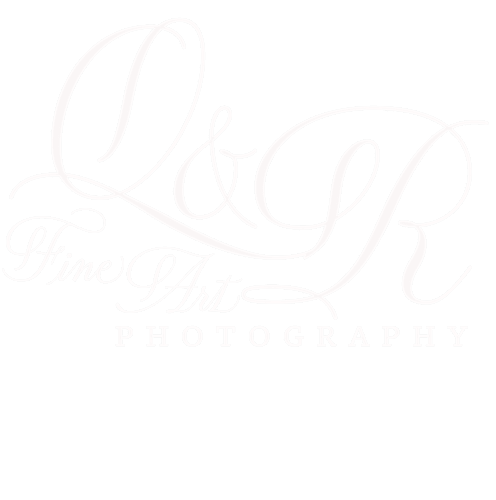 Q&R Fine Art Photography