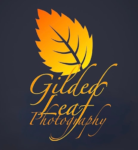 Gilded Leaf Photography