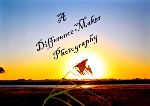 A Difference Maker Photography - Todd Keys 