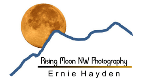 Rising Moon NW Photography