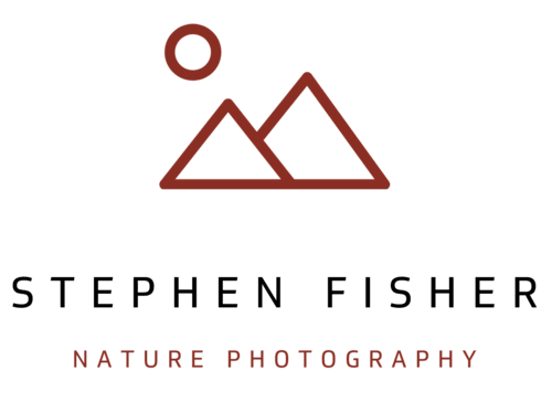 stephenfisher