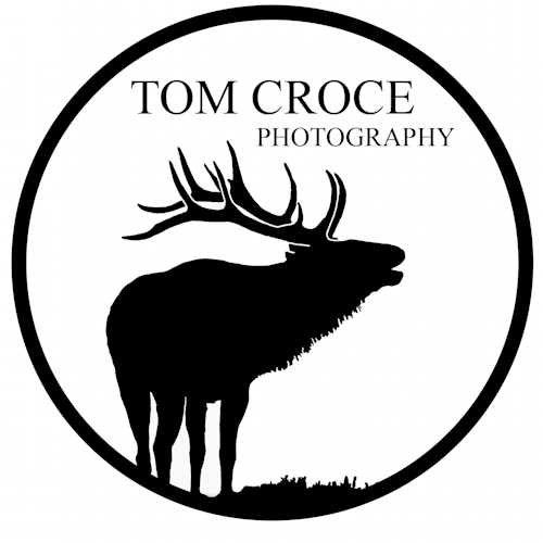 Tom Croce Photography 