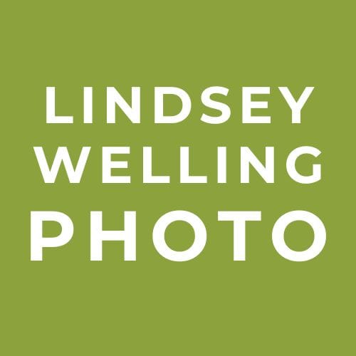 Lindsey Welling Photography 