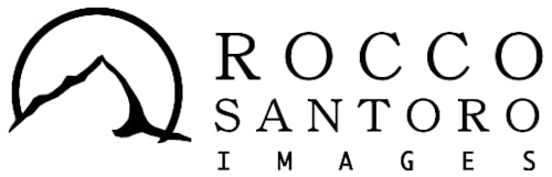 ROCCO SANTORO GALLERIES