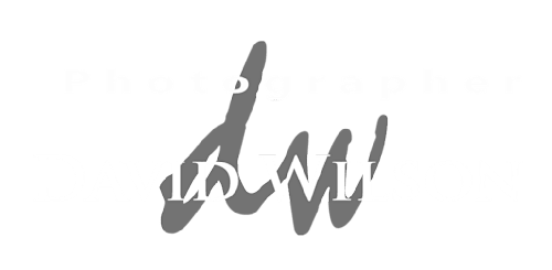 Photographer David Wilson