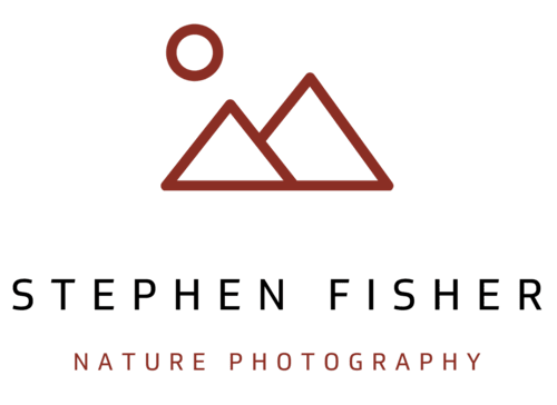 Stephen Fisher Photography