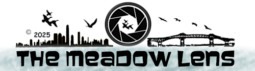 The Meadow Lens