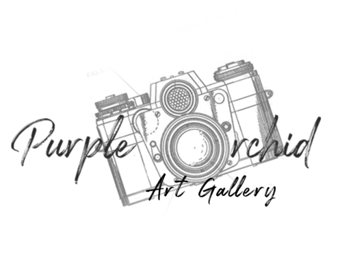 Purple Orchid Art Gallery