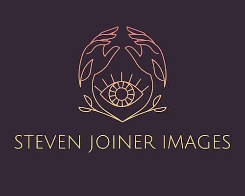 Steven Joiner Images and Imaginings
