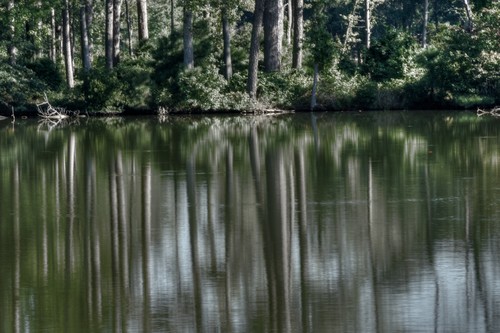 Norfolklakereflectionxti mg 0083 4 5 mpucciarelli c6ijib