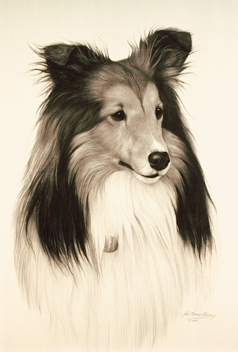 原画 borzoi 墨絵 #135 Borzoi Art | Fine Art New Mexico