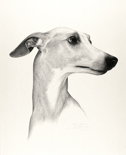 Borzoi Art | Fine Art New Mexico