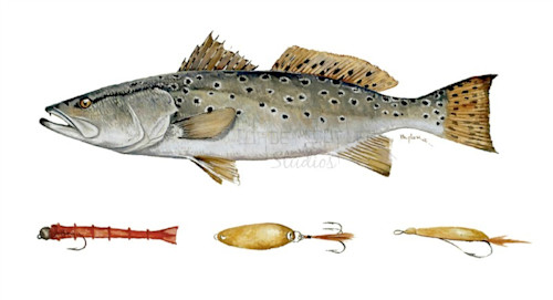Redfish Among Grass | Red Drum Speckled Trout Fish Art | Satin Luster  Prints | Inshore Fishing Artwork | Digital Artwork