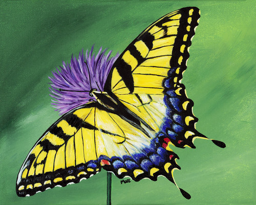 Acrylic Painting Of A Yellow Tiger Swallowtail On Purple Echinacea Tiger Swallowtail On Purple Echinacea