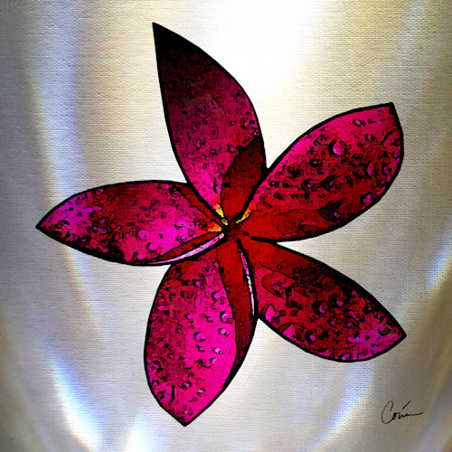 Corinabakke plumeria pink yalxkc