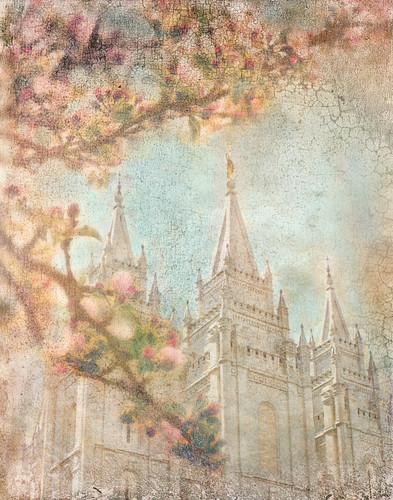 Springysaltlakenew ktaqyv