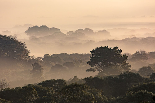 Middle moors nantucket foggy sunrise best web uhkyqt