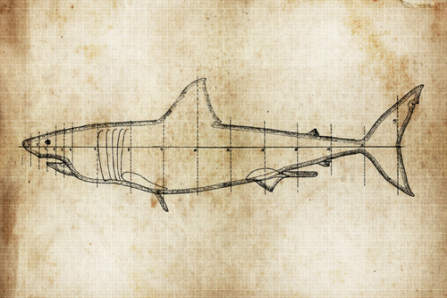 Shark gj5lmw