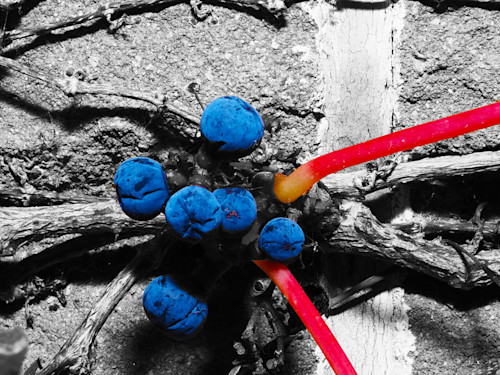 Thebluestring dpf7ip