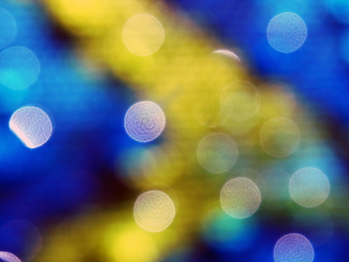 Firstsightafter nzfvfz