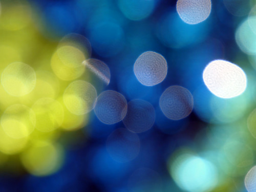 Firstsightafter photograph asukoy