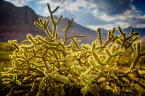Mountains 1490 o7prrj