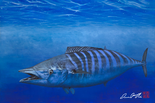 Traditional Marine Life Paintings | Sneaky Wahoo by Desmond Thain