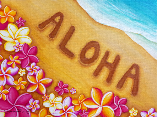 Aloha shores sb31 iergy2