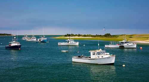 Chatham fish pier boats in harbor summer ztpmxw