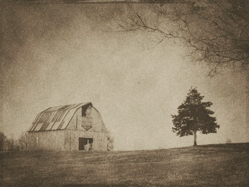 Barn lone pine farm ranch vintage sepia patina pastoral scene old west horizontal country rural yghqwc