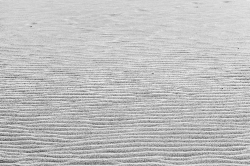 Zen sand tone horizontal windswept beach ojqbdi