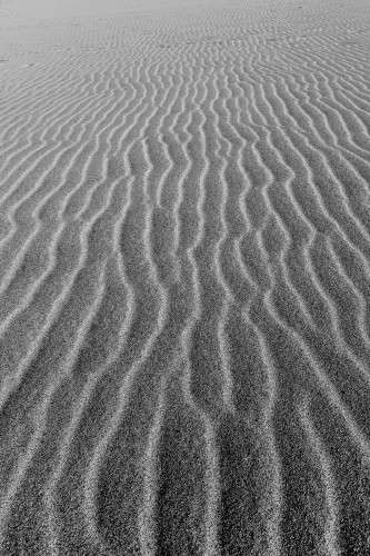 Sand tone vertical windswept beach jurljp